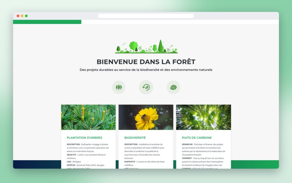 Hydroption – Foret projets
